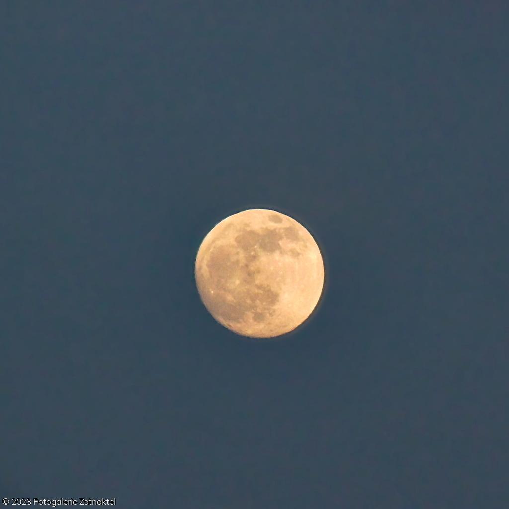 Náhled IMG_4073.JPG