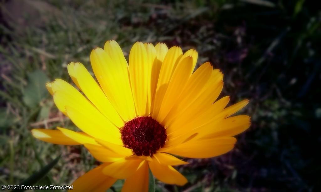 Náhled IMG_20150927_102805.zmenena-velikost.jpg