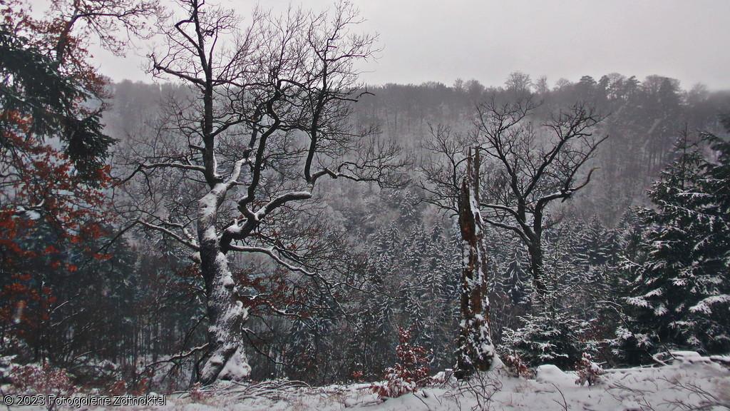 Náhled 128_2248.JPG