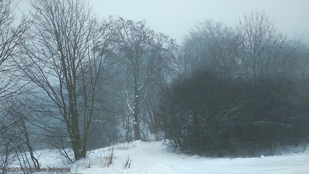 Náhled IMG_20190127_102714.jpg