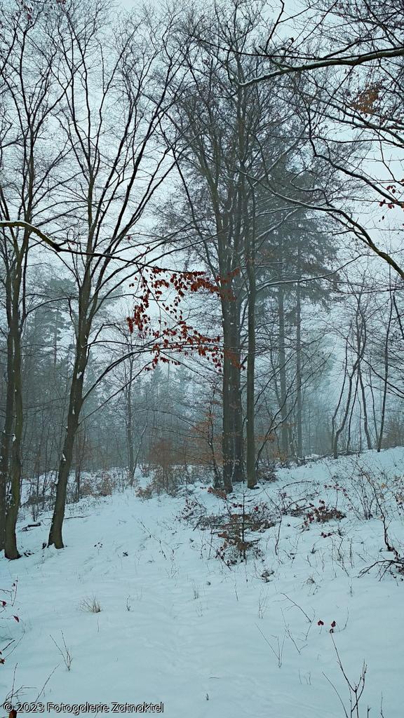 Náhled IMG_20190127_102749.jpg