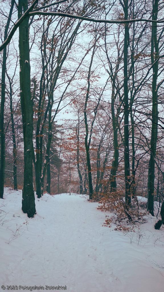 Náhled IMG_20190127_102824.jpg