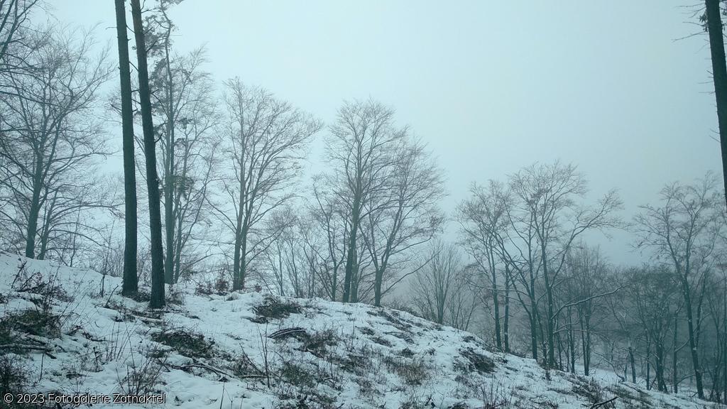 Náhled IMG_20190127_102952.jpg