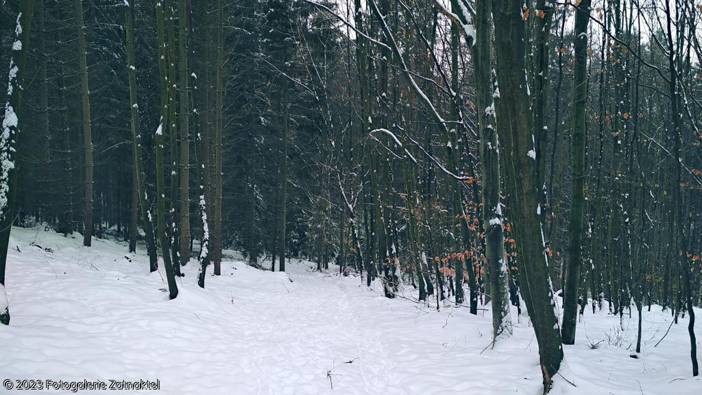 Náhled IMG_20190127_103358.jpg
