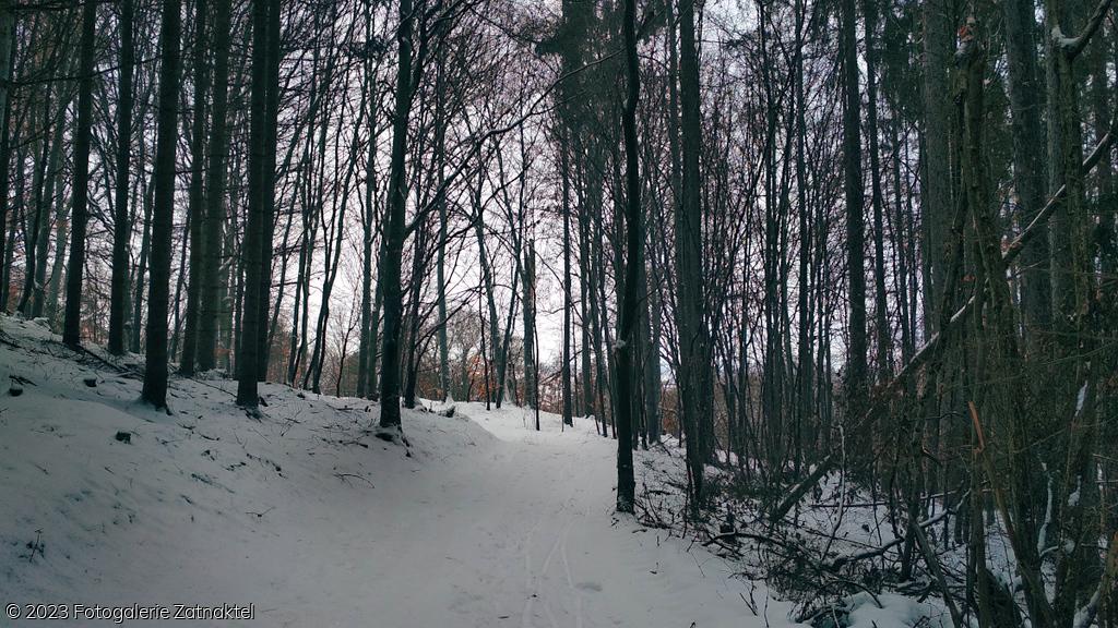 Náhled IMG_20190127_103758.jpg