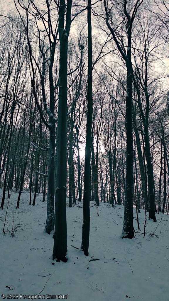 Náhled IMG_20190127_103858.jpg