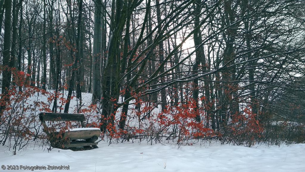 Náhled IMG_20190127_103930.jpg
