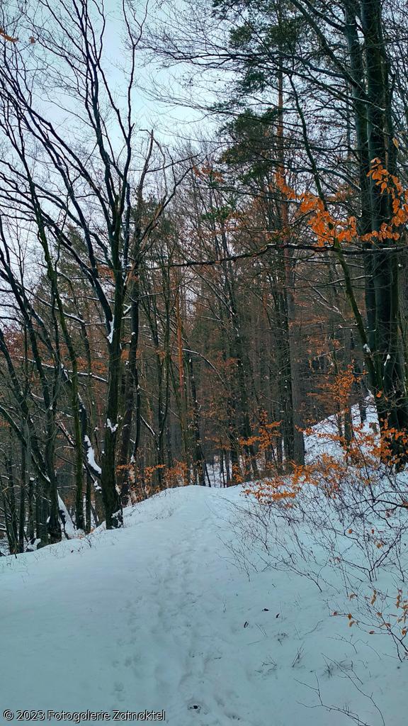 Náhled IMG_20190127_104246_HDR.jpg