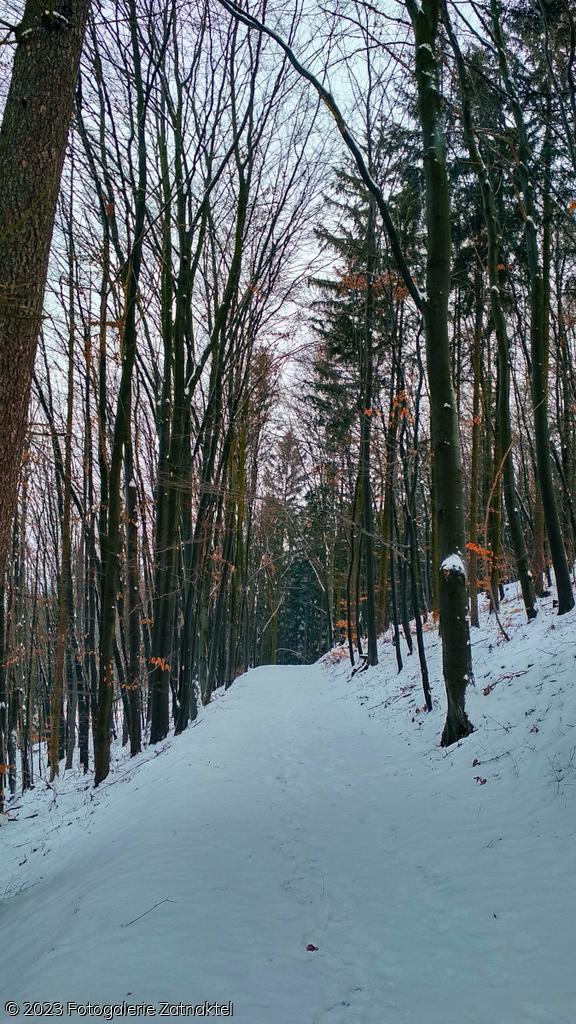 Náhled IMG_20190127_105052_HDR.jpg