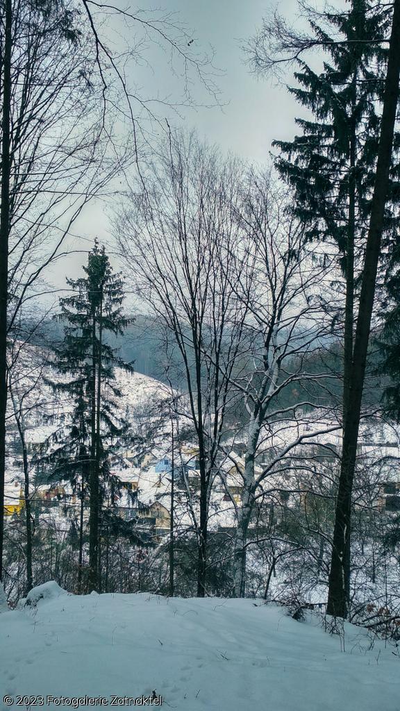 Náhled IMG_20190127_105214_HDR.jpg
