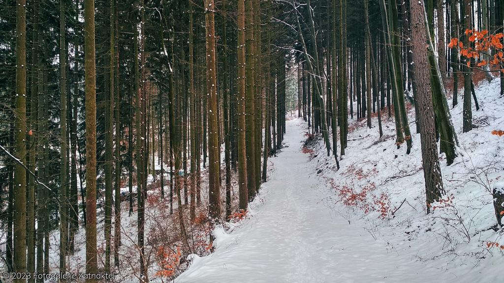 Náhled IMG_20190127_105229_HDR.jpg