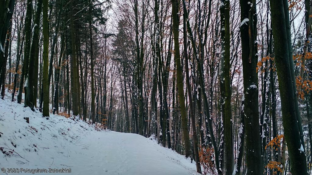 Náhled IMG_20190127_105236_HDR.jpg