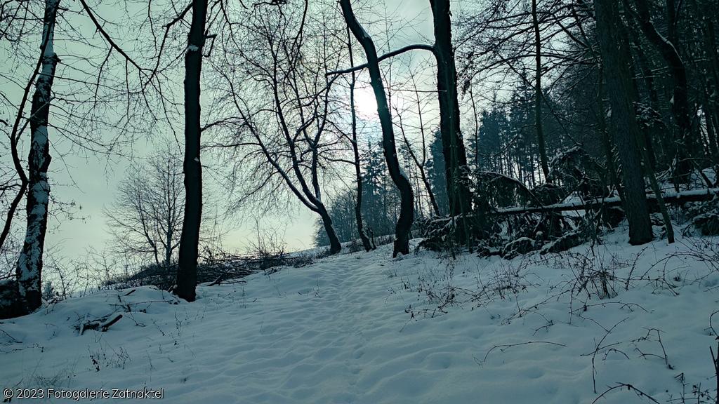 Náhled IMG_20190127_110056_HDR.jpg