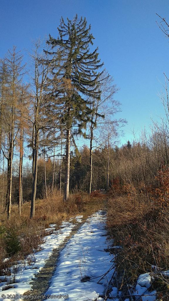 Náhled IMG_20190217_103407.jpg