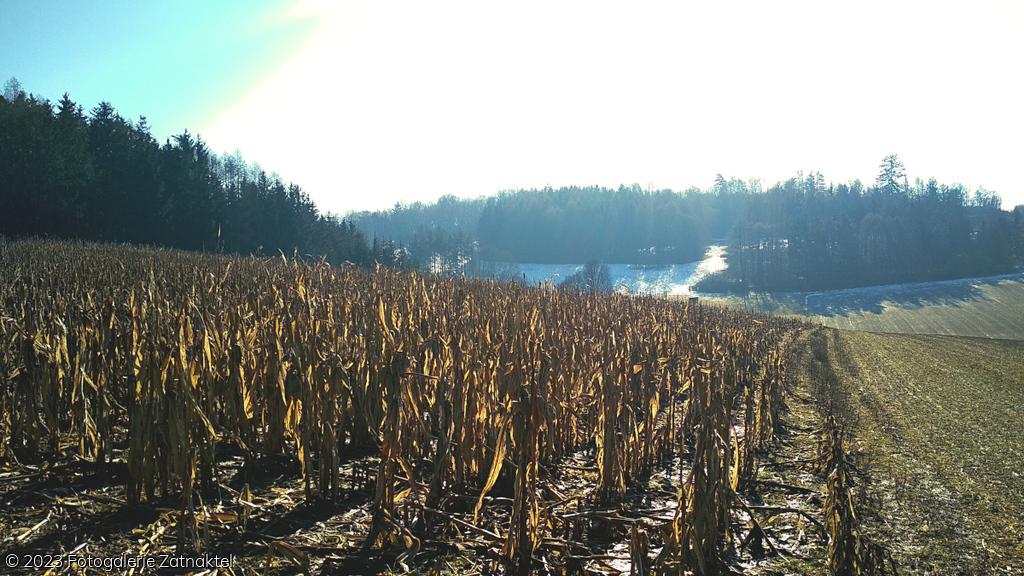 Náhled IMG_20190217_104140.jpg