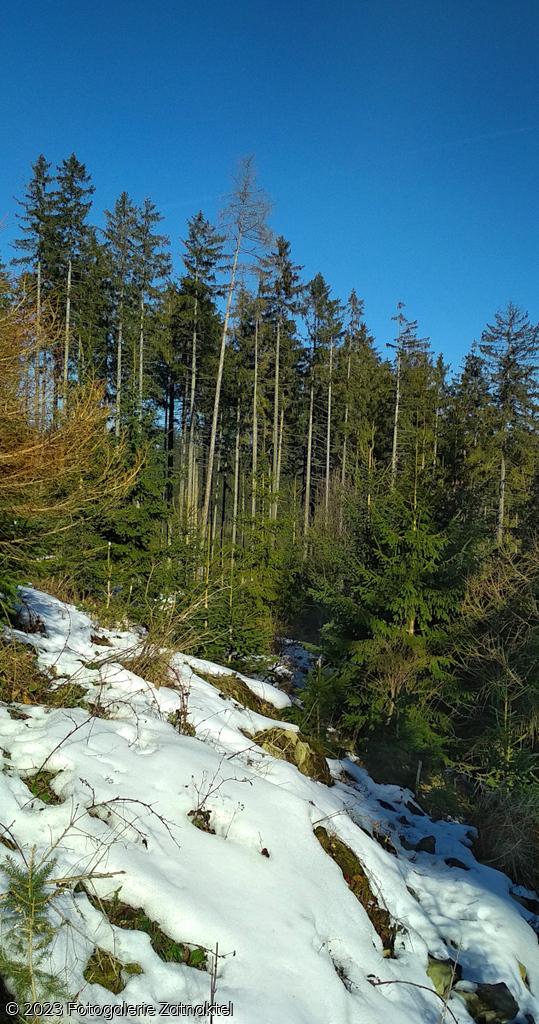 Náhled IMG_20190217_105435.jpg