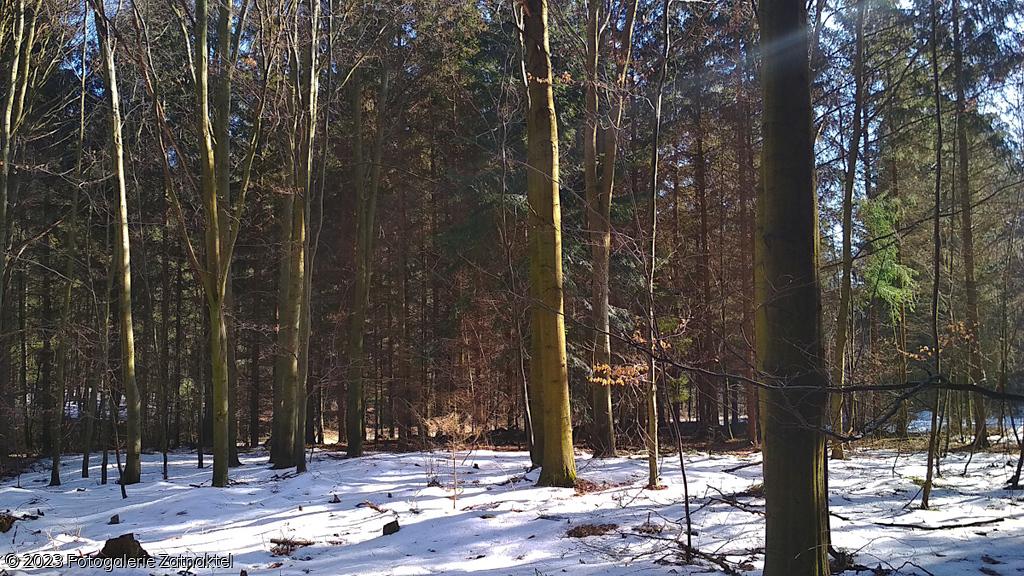 Náhled IMG_20190217_111207.jpg