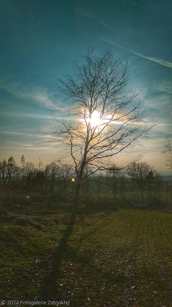 Náhled IMG_20190330_171212-01.jpeg