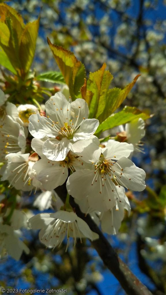 Náhled IMG_20190421_100411.jpg