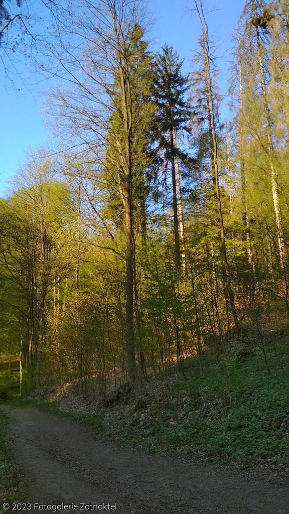 Náhled IMG_20190421_171241.jpg