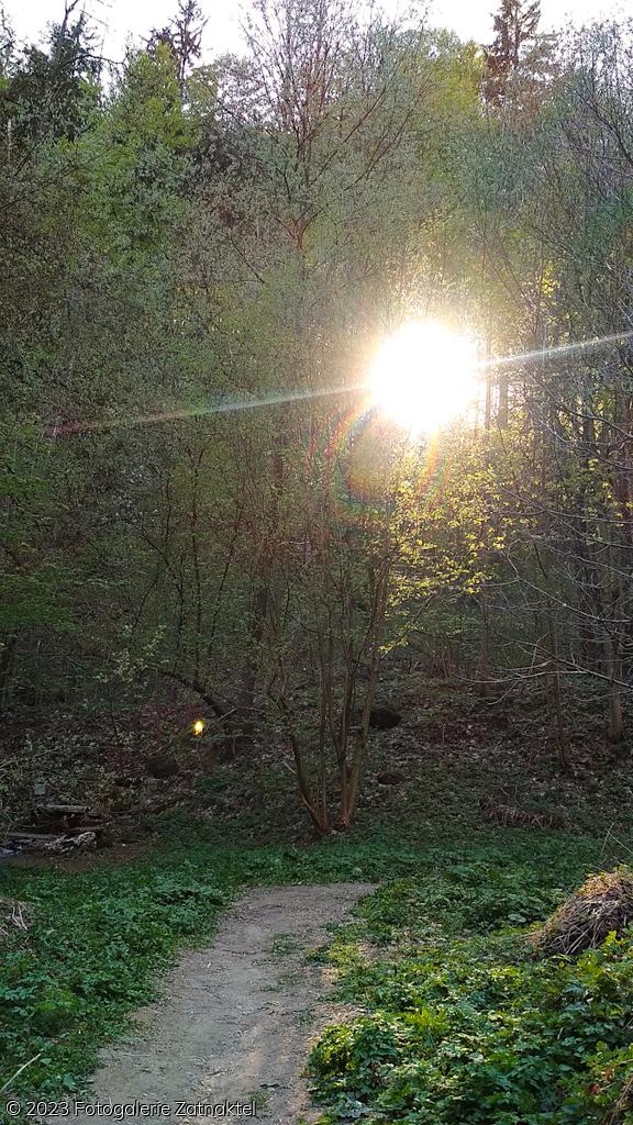 Náhled IMG_20190421_171914.jpg