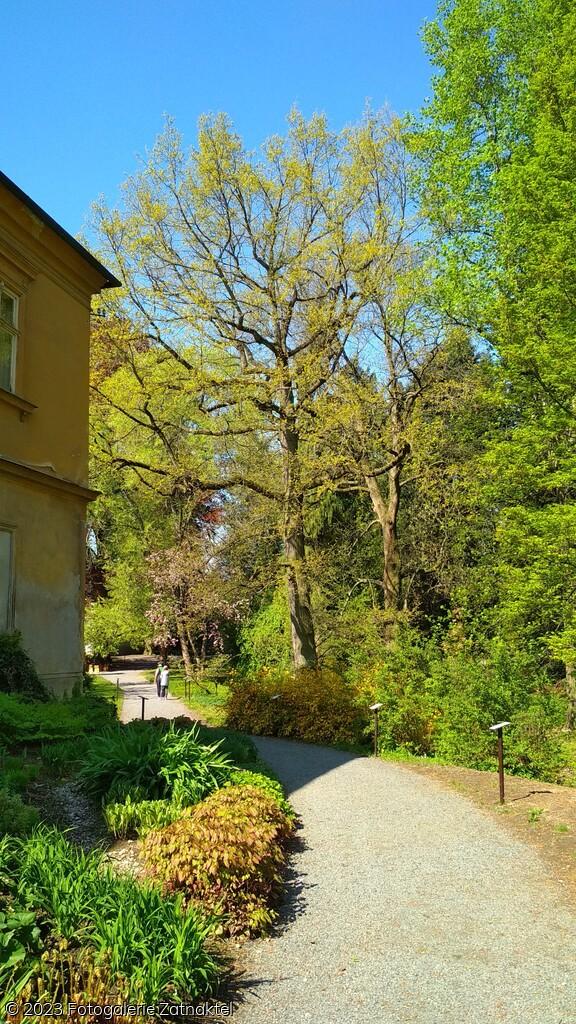 Náhled IMG_20190501_102935-1170x2080.jpg