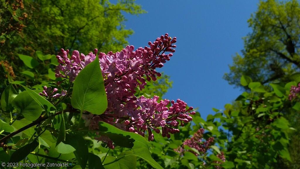 Náhled IMG_20190501_105253-2080x1170.jpg