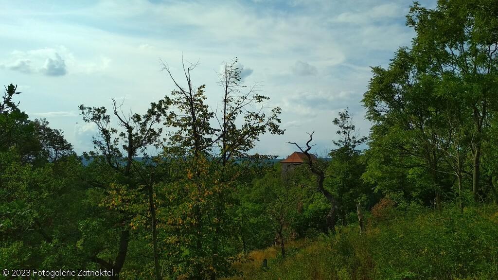 Náhled IMG_20190808_175029-1664x936.jpg