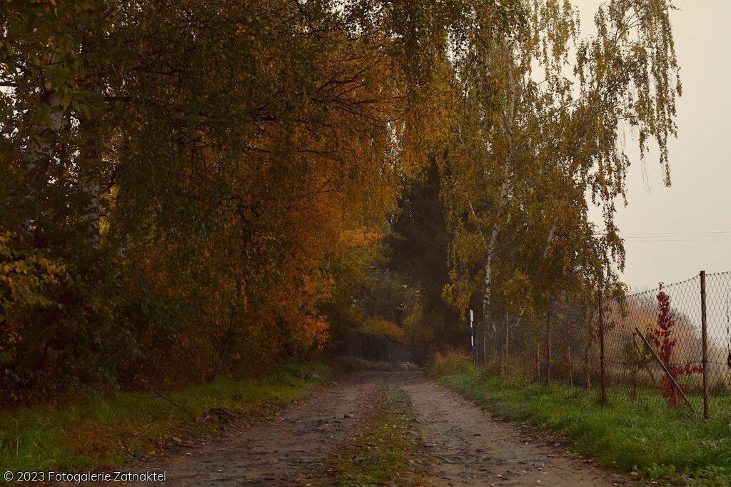 Náhled DSC_0930.JPG