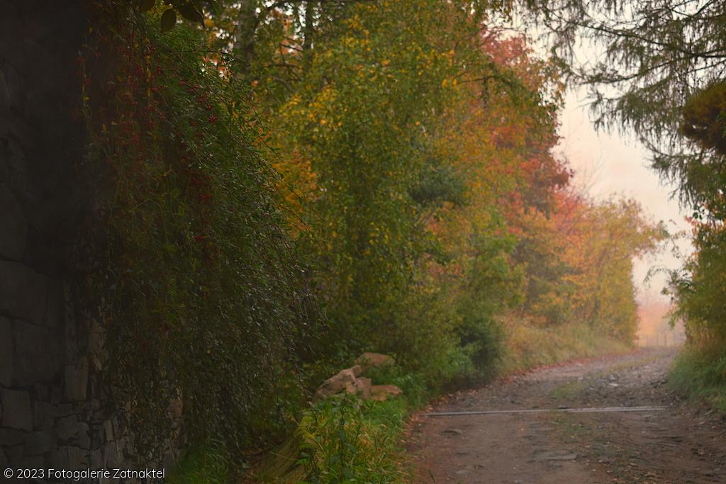 Náhled DSC_0933.JPG