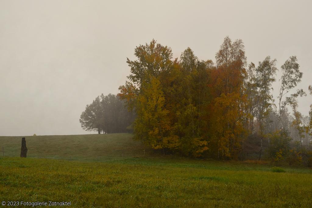 Náhled DSC_0946.JPG