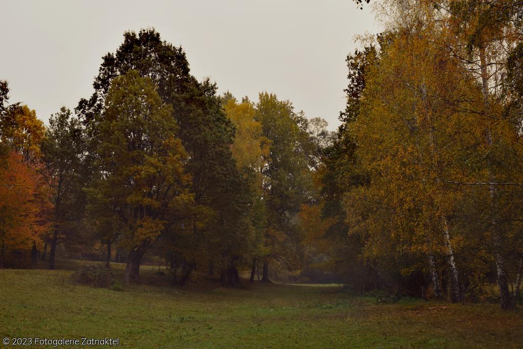 Náhled DSC_0981.JPG