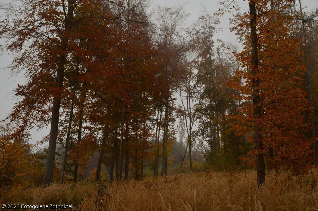 Náhled DSC_1041.JPG