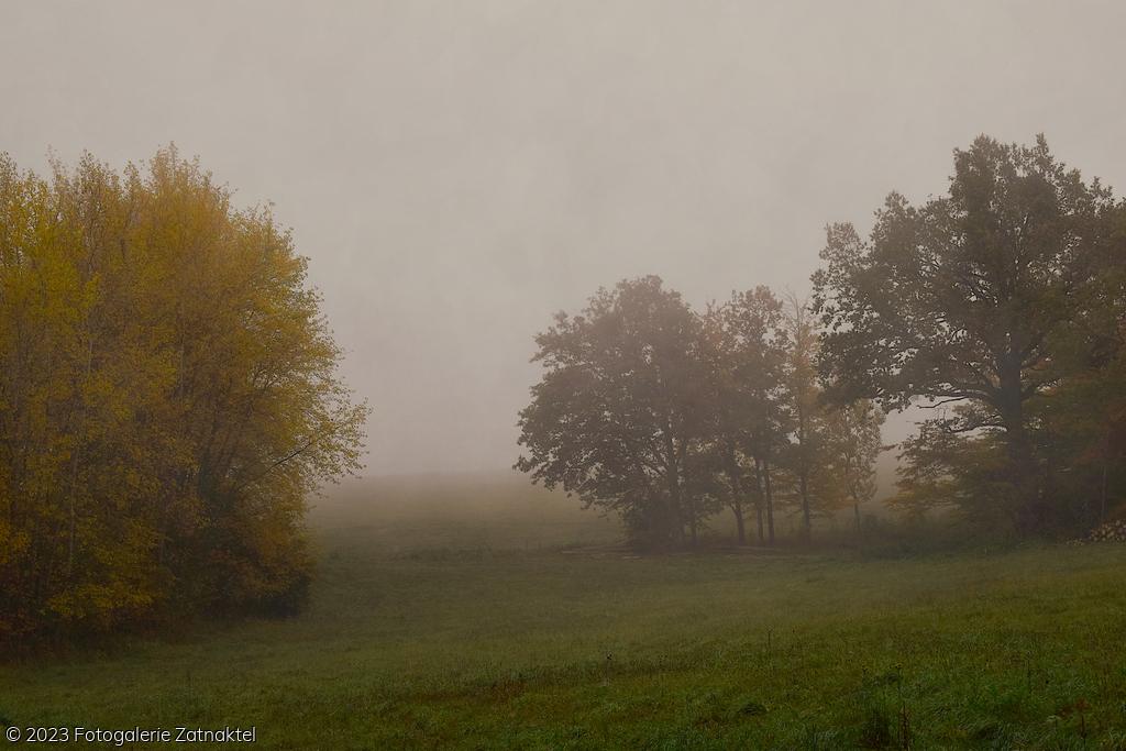 Náhled DSC_1042.JPG