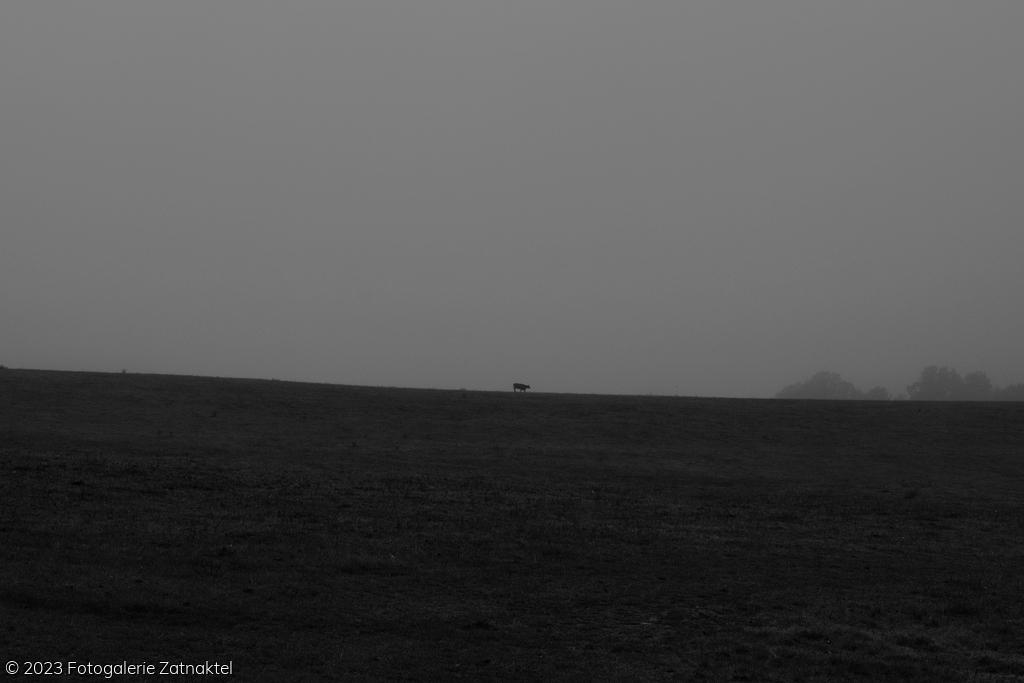 Náhled DSC_0938.JPG