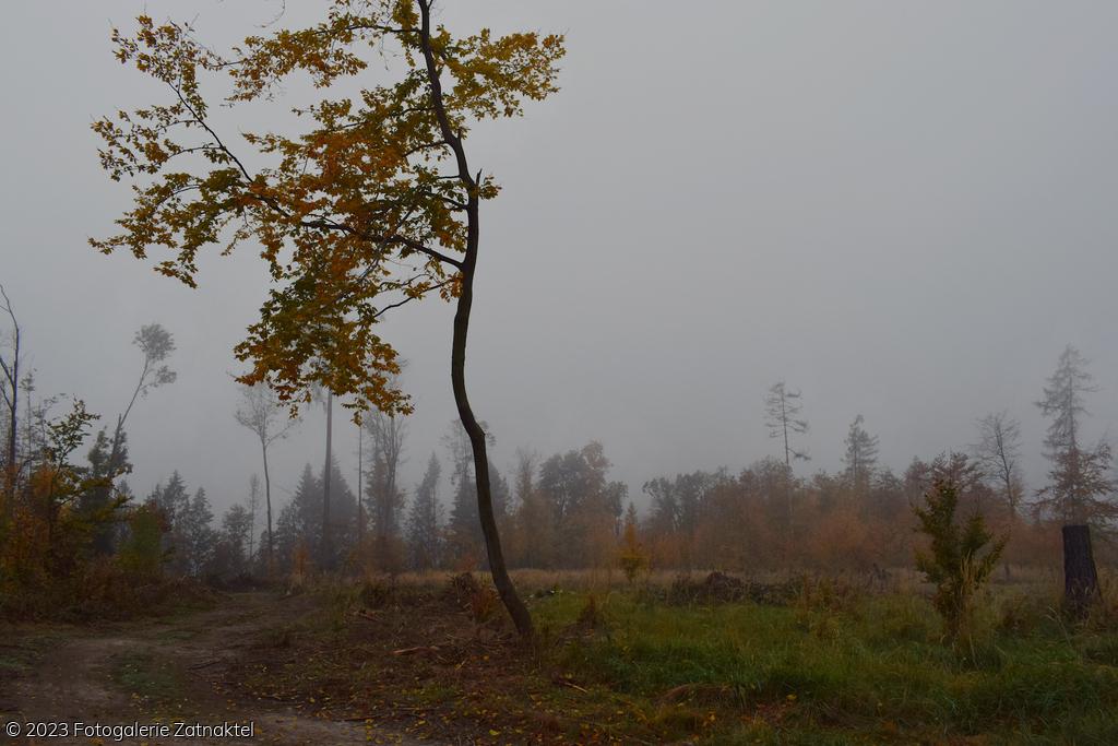 Náhled DSC_1027.JPG