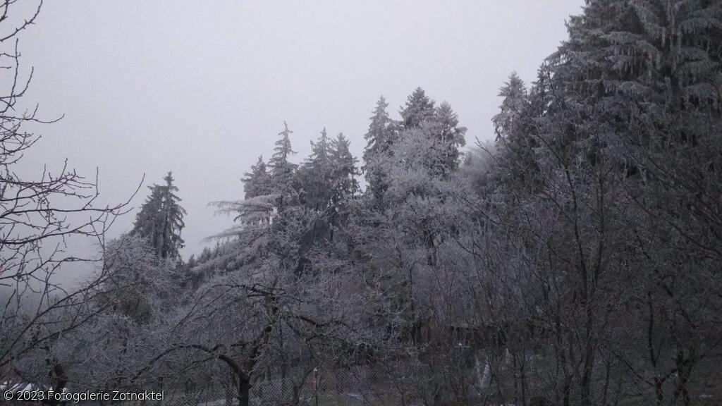 Náhled IMG_20191207_074347.jpg
