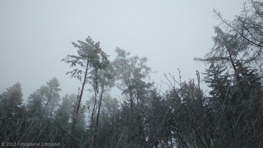 Náhled IMG_20191207_074839.jpg