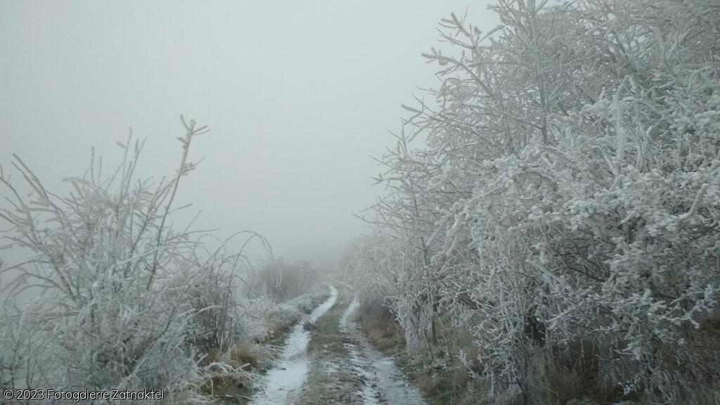 Náhled IMG_20191207_080900.jpg