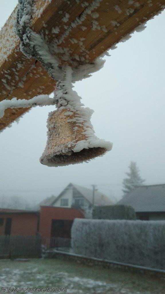 Náhled IMG_20191207_081658.jpg