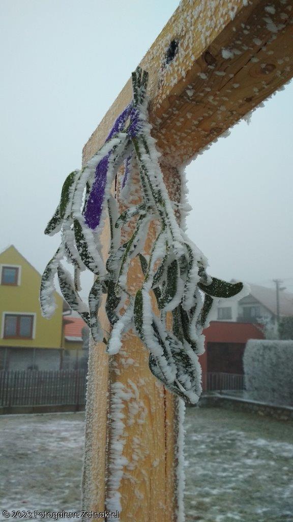 Náhled IMG_20191207_081700.jpg