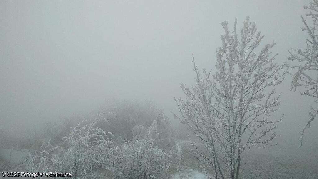 Náhled IMG_20191207_080539.jpg