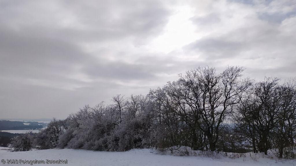 Náhled 1613227097957_resize_92.jpg